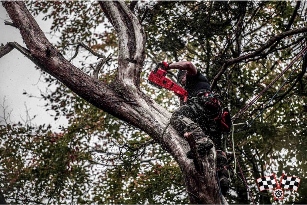 اره زنجیری 40 سانتی متر شارژی 18 ولت میلواکی مدل M18FCHS-0